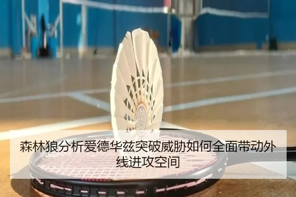 森林狼分析爱德华兹突破威胁如何全面带动外线进攻空间